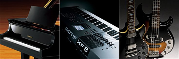 凯发k8乐器