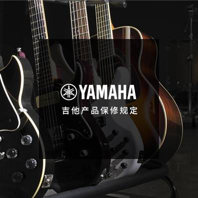 吉他、贝斯和音箱