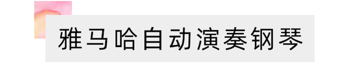 活动报道 | 远程艺术教育大师课活动——凯发k8特邀艺术家张奕明大师课