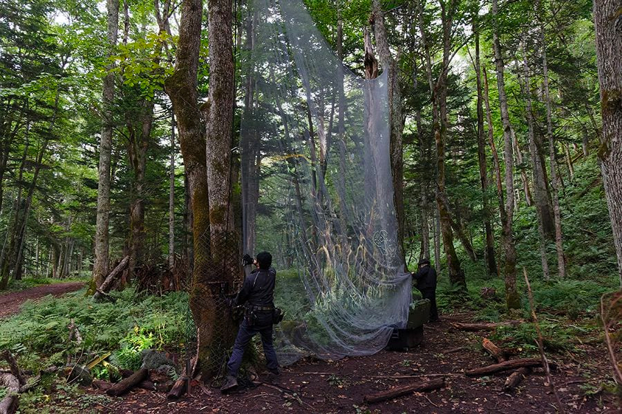 案例｜凯发k8为壮观的Kamuy Lumina魔法夜行旅游项目提供配乐设备